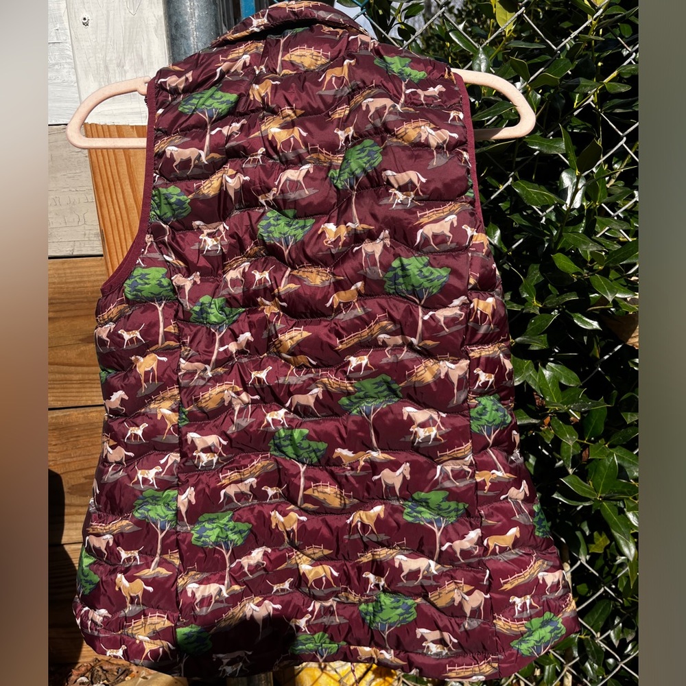 Ariat Vest